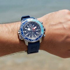 Citizen Promaster