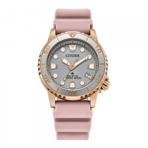 Citizen Promaster Diver's Citizen Promaster Diver's