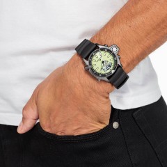Citizen Promaster Citizen Promaster