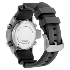 Citizen Promaster Citizen Promaster