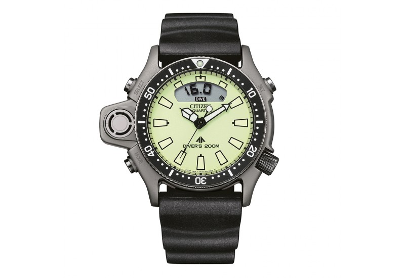 Citizen Promaster Citizen Promaster