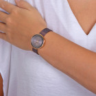 Obaku Lys Walnut Obaku Lys Walnut
