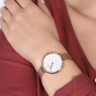 Obaku Blomme Rose